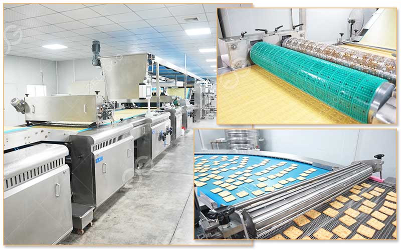 Combien Coûte Une Machine À Fabriquer Des Biscuits En Algérie